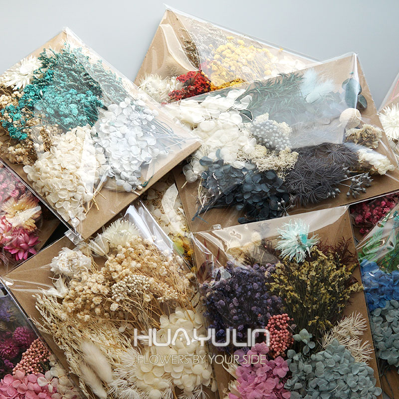 Dried Flower Bulk - 1 opakowanie sztuczne rośliny suszone prawdziwe