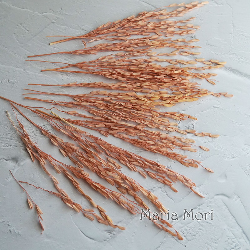 5g/Kwiaty z kukurydzy barwione – Dried Flower Bulk recenzja i cena