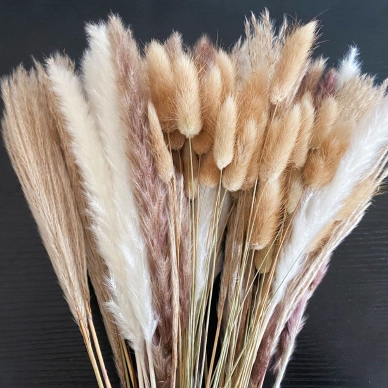 Luzem 100 szt. Suszonych pędów – Dried Flower Bulk recenzja i cena