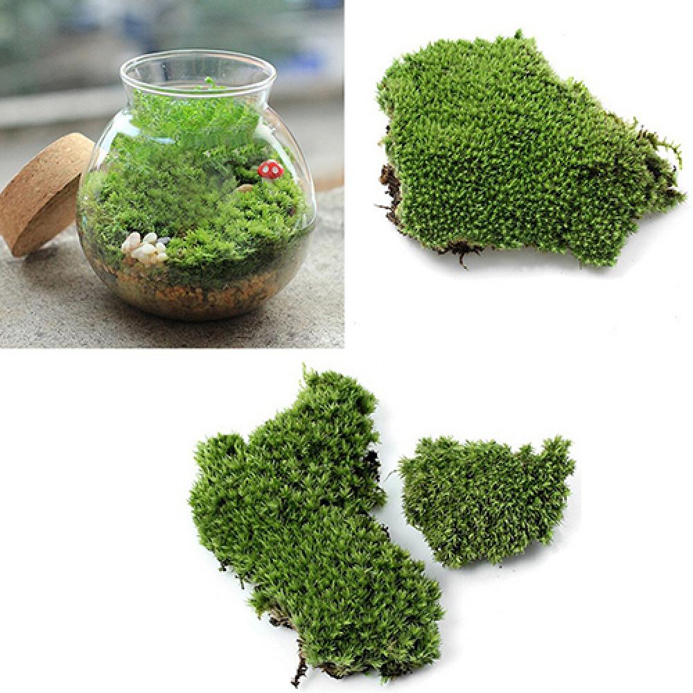 Sztuczna zielona trawa mech oz – Terrarium Moss Art recenzja i cena