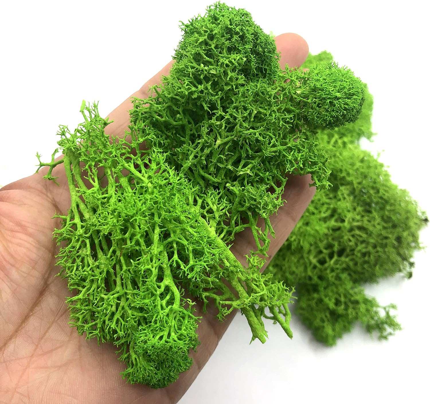200g Sztuczne rośliny zielone  – Terrarium Moss Art recenzja i cena