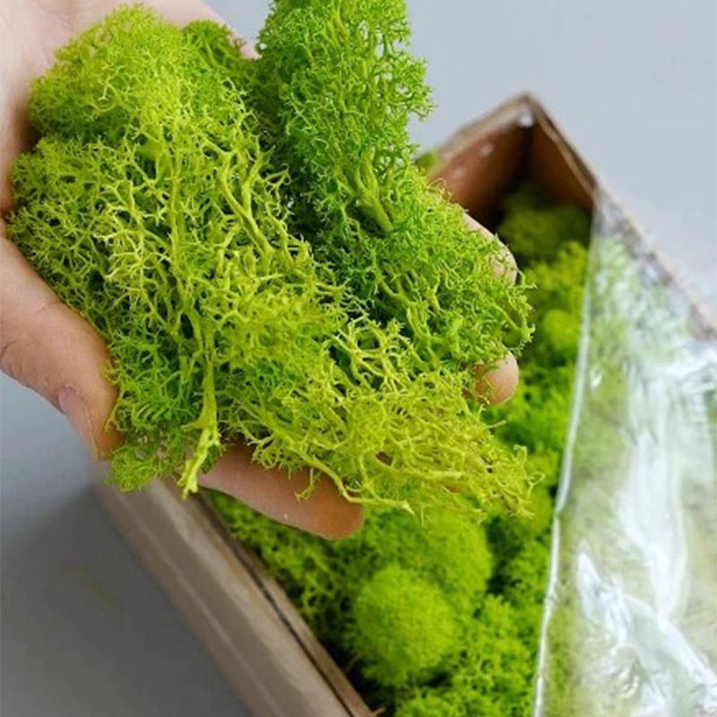 200g Sztuczne rośliny zielone  – Terrarium Moss Art recenzja i cena