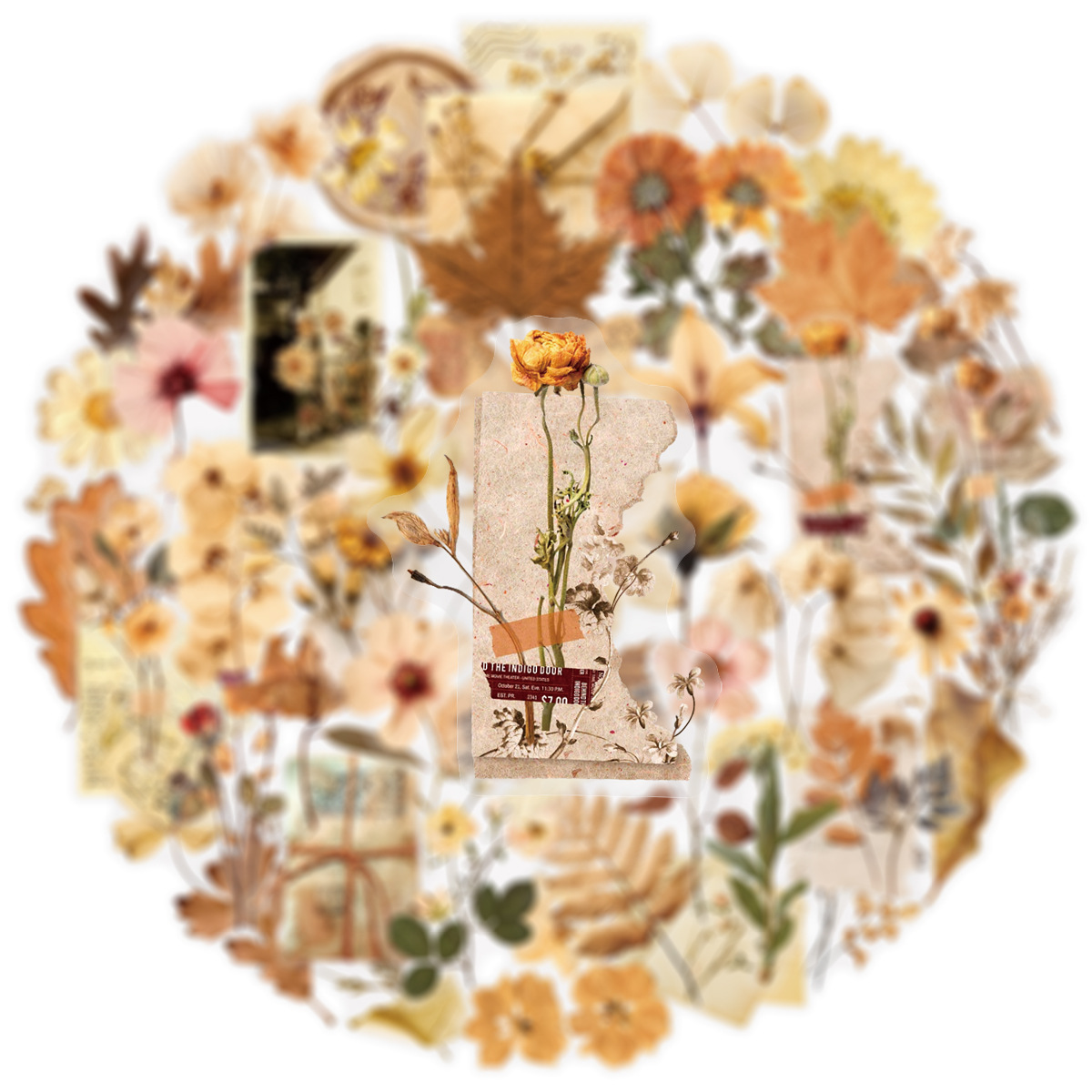 50 szt. Przezroczyste naklejki – Dried Flower Bulk recenzja i cena